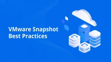 VMware Snapshot Nedir? VMware Snapshot Yönetimi Nasıl Yapılır?