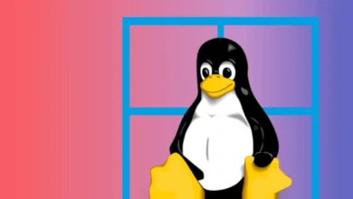 WSL2 Backup&Restore Adımları