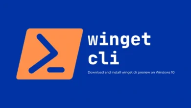 Winget Kurulumu ve Kullanımı