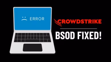 CrowdStrike Windows BSOD